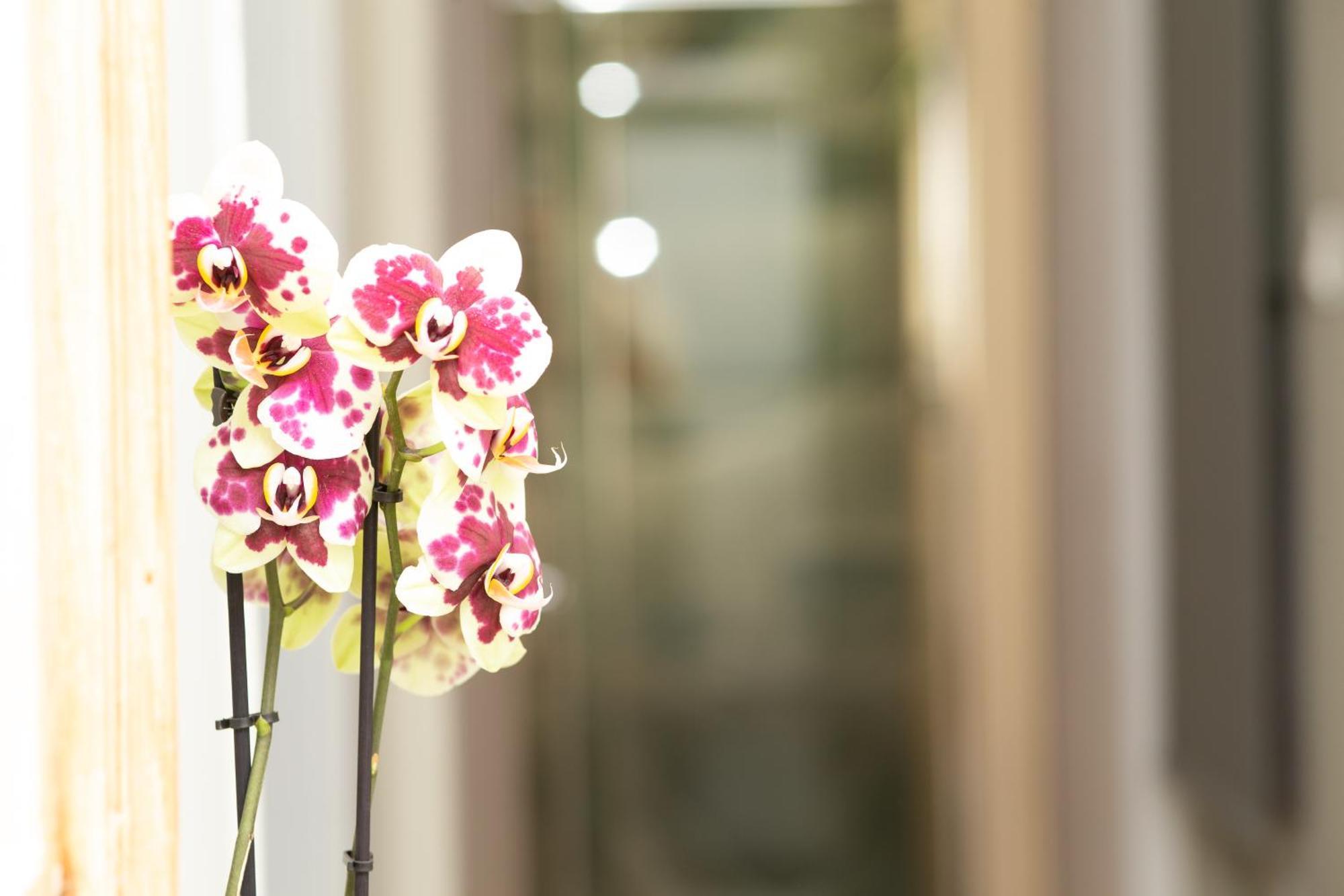 Ferienwohnung Prestige Penthouse - Breathtaking Parthenon Views In Plaka Athen Exterior foto